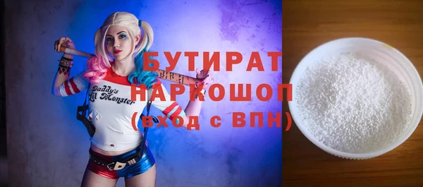 крисы Кулебаки