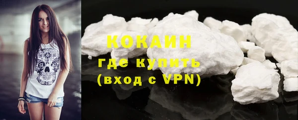 крисы Кулебаки