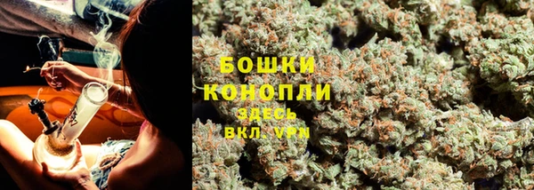 крисы Куйбышев