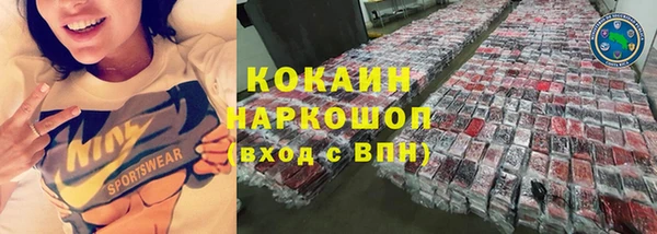 молекула духа Краснослободск