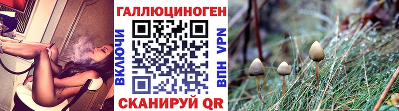 Галлюциногенные грибы Cubensis  Тетюши 